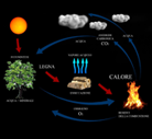 ciclo biomassa